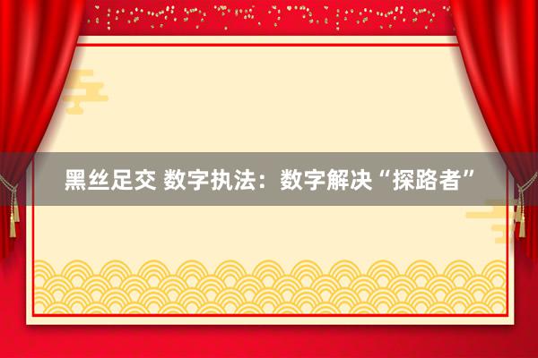 黑丝足交 数字执法：数字解决“探路者”