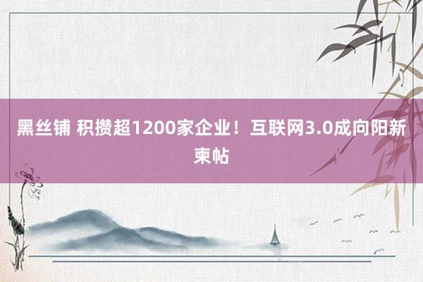 黑丝铺 积攒超1200家企业！互联网3.0成向阳新柬帖