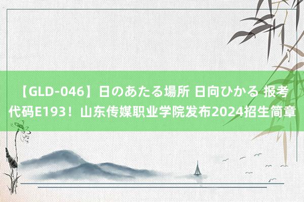 【GLD-046】日のあたる場所 日向ひかる 报考代码E193！山东传媒职业学院发布2024招生简章