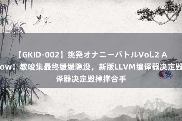 【GKID-002】挑発オナニーバトルVol.2 AMD 3DNow！教唆集最终缓缓隐没，新版LLVM编译器决定毁掉撑合手