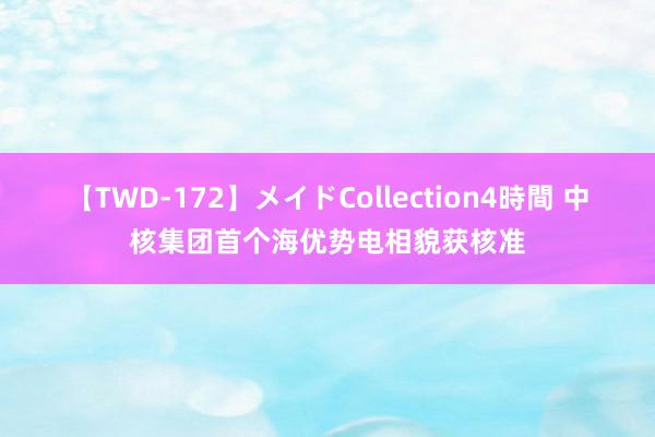 【TWD-172】メイドCollection4時間 中核集团首个海优势电相貌获核准