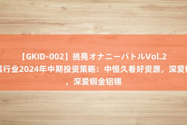 【GKID-002】挑発オナニーバトルVol.2 有色金属行业2024年中期投资策略：中恒久看好资源，深爱铜金铝锡