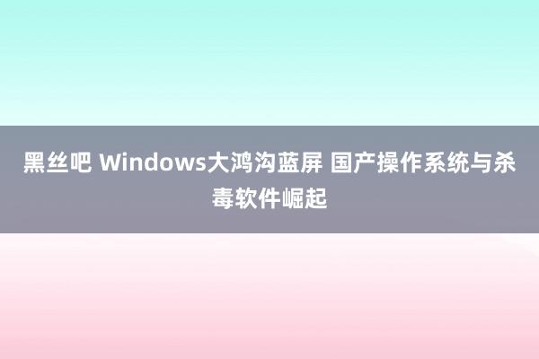 黑丝吧 Windows大鸿沟蓝屏 国产操作系统与杀毒软件崛起