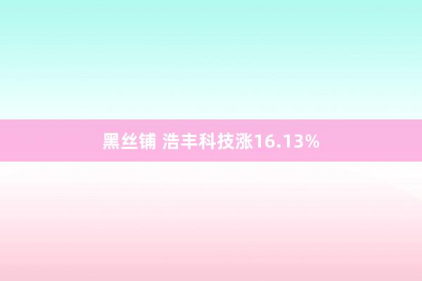 黑丝铺 浩丰科技涨16.13%