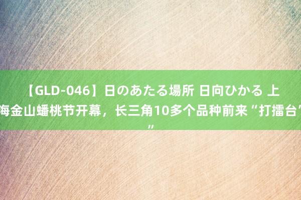 【GLD-046】日のあたる場所 日向ひかる 上海金山蟠桃节开幕，长三角10多个品种前来“打擂台”