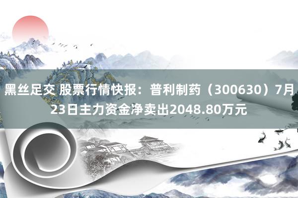 黑丝足交 股票行情快报：普利制药（300630）7月23日主力资金净卖出2048.80万元