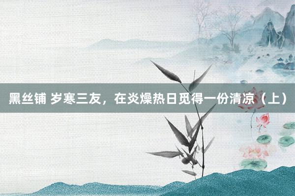 黑丝铺 岁寒三友，在炎燥热日觅得一份清凉（上）