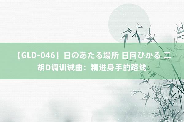 【GLD-046】日のあたる場所 日向ひかる 二胡D调训诫曲：精进身手的路线