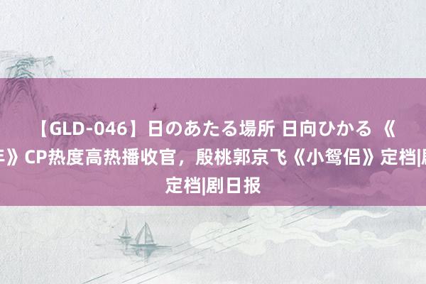 【GLD-046】日のあたる場所 日向ひかる 《度华年》CP热度高热播收官，殷桃郭京飞《小鸳侣》定档|剧日报