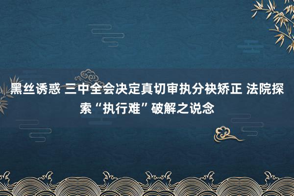 黑丝诱惑 三中全会决定真切审执分袂矫正 法院探索“执行难”破解之说念