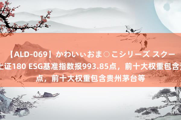 【ALD-069】かわいぃおま○こシリーズ スクール水着編 上证180 ESG基准指数报993.85点，前十大权重包含贵州茅台等