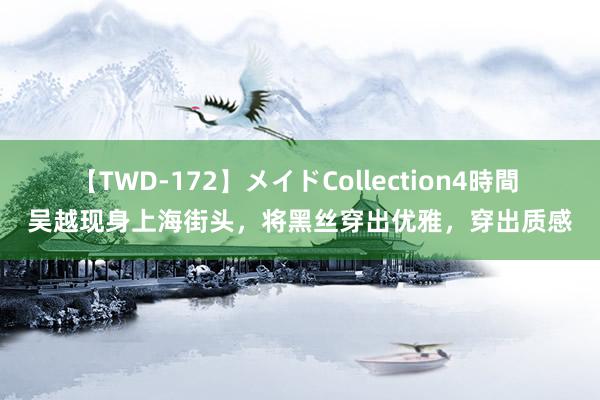 【TWD-172】メイドCollection4時間 吴越现身上海街头，将黑丝穿出优雅，穿出质感