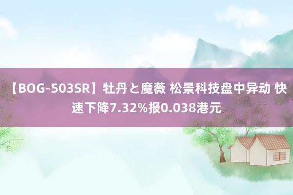 【BOG-503SR】牡丹と魔薇 松景科技盘中异动 快速下降7.32%报0.038港元