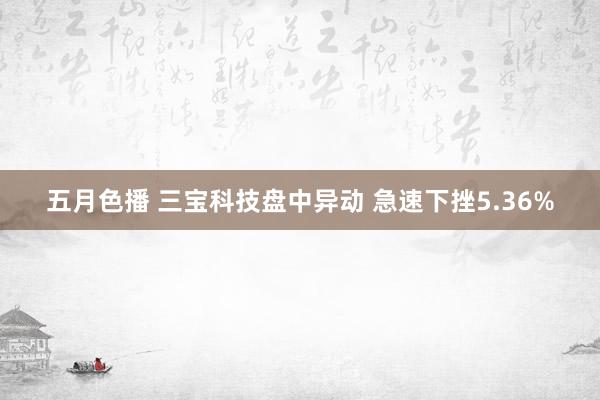 五月色播 三宝科技盘中异动 急速下挫5.36%