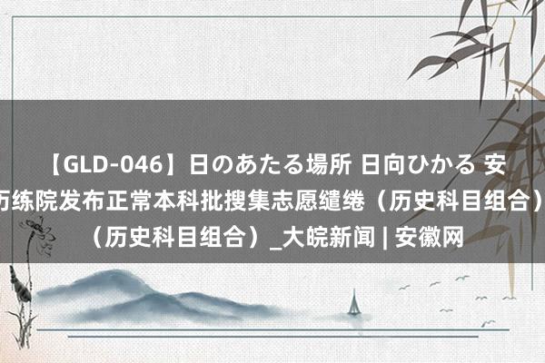 【GLD-046】日のあたる場所 日向ひかる 安徽省诠释注解招生历练院发布正常本科批搜集志愿缱绻（历史科目组合）_大皖新闻 | 安徽网