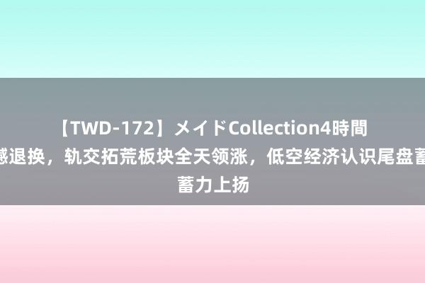 【TWD-172】メイドCollection4時間 A股震撼退换，轨交拓荒板块全天领涨，低空经济认识尾盘蓄力上扬