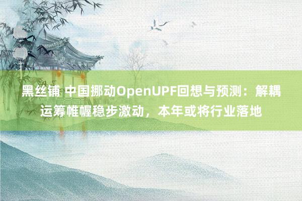 黑丝铺 中国挪动OpenUPF回想与预测：解耦运筹帷幄稳步激动，本年或将行业落地