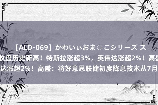 【ALD-069】かわいぃおま○こシリーズ スクール水着編 纳指再创收盘历史新高！特斯拉涨超3%，英伟达涨超2%！高盛：将好意思联储初度降息技术从7月推迟至9月