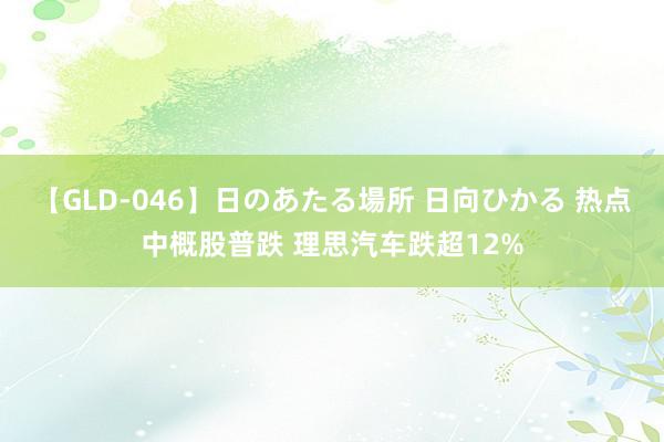 【GLD-046】日のあたる場所 日向ひかる 热点中概股普跌 理思汽车跌超12%