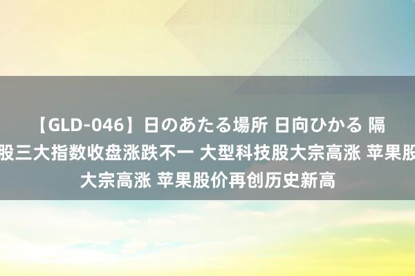 【GLD-046】日のあたる場所 日向ひかる 隔夜外盘：好意思股三大指数收盘涨跌不一 大型科技股大宗高涨 苹果股价再创历史新高