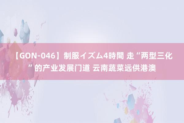 【GON-046】制服イズム4時間 走“两型三化”的产业发展门道 云南蔬菜远供港澳