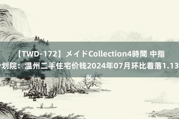 【TWD-172】メイドCollection4時間 中指计划院：温州二手住宅价钱2024年07月环比着落1.13%