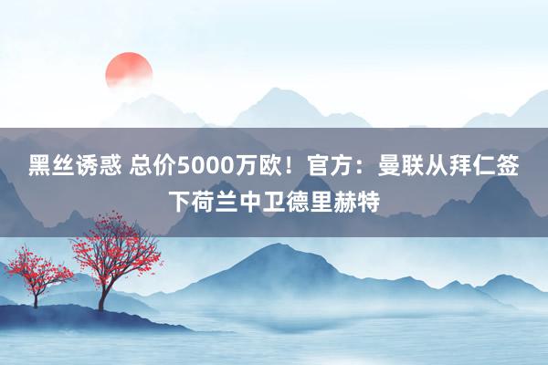 黑丝诱惑 总价5000万欧！官方：曼联从拜仁签下荷兰中卫德里赫特