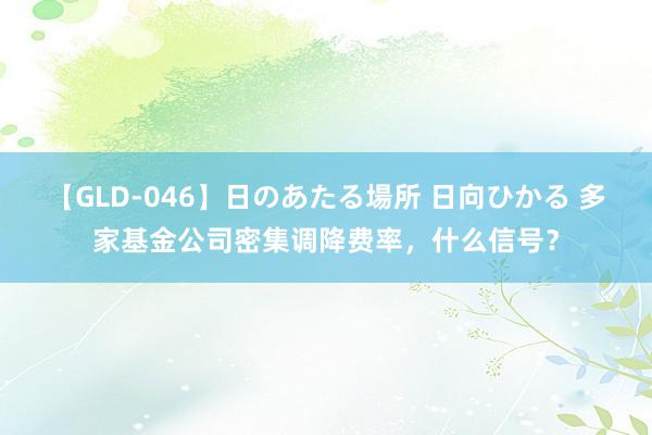 【GLD-046】日のあたる場所 日向ひかる 多家基金公司密集调降费率，什么信号？