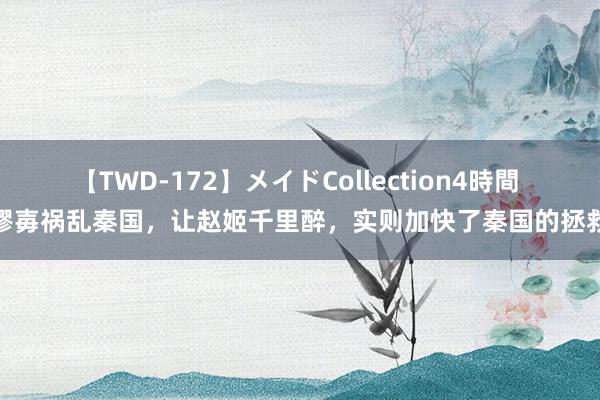 【TWD-172】メイドCollection4時間 嫪毐祸乱秦国，让赵姬千里醉，实则加快了秦国的拯救