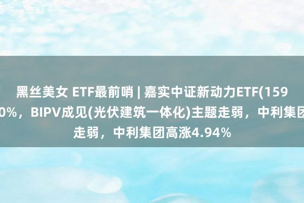 黑丝美女 ETF最前哨 | 嘉实中证新动力ETF(159875)下落1.0%，BIPV成见(光伏建筑一体化)主题走弱，中利集团高涨4.94%