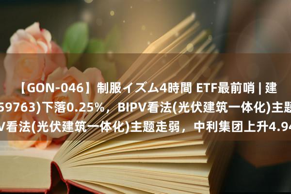 【GON-046】制服イズム4時間 ETF最前哨 | 建信中证新材料主题ETF(159763)下落0.25%，BIPV看法(光伏建筑一体化)主题走弱，中利集团上升4.94%