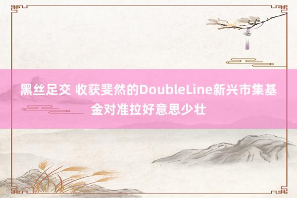 黑丝足交 收获斐然的DoubleLine新兴市集基金对准拉好意思少壮