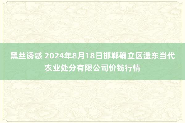 黑丝诱惑 2024年8月18日邯郸确立区滏东当代农业处分有限公司价钱行情