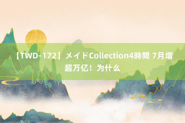 【TWD-172】メイドCollection4時間 7月增超万亿！为什么