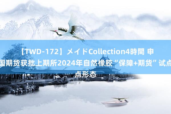 【TWD-172】メイドCollection4時間 申银万国期货获批上期所2024年自然橡胶“保障+期货”试点形态