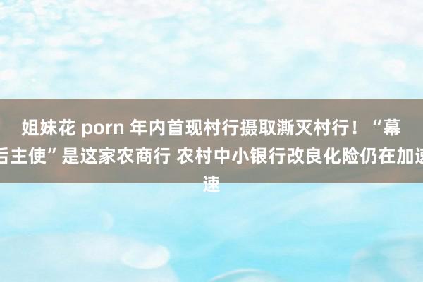 姐妹花 porn 年内首现村行摄取澌灭村行！“幕后主使”是这家农商行 农村中小银行改良化险仍在加速