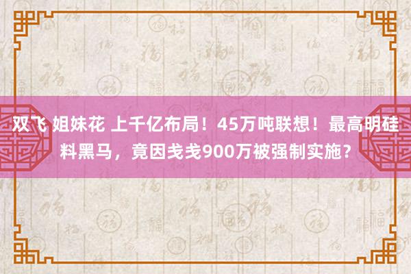 双飞 姐妹花 上千亿布局！45万吨联想！最高明硅料黑马，竟因戋戋900万被强制实施？