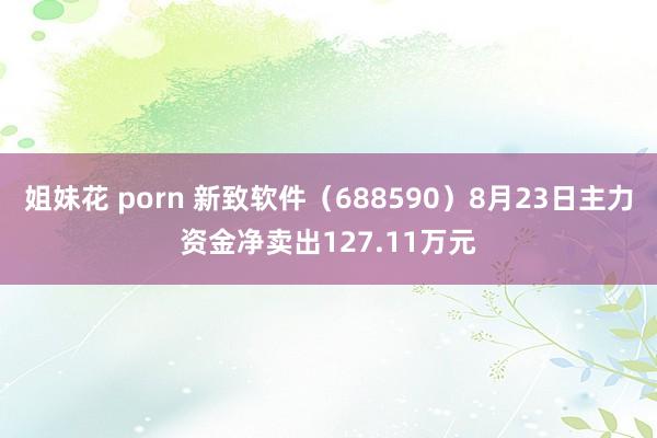 姐妹花 porn 新致软件（688590）8月23日主力资金净卖出127.11万元