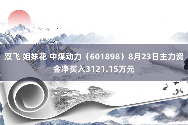 双飞 姐妹花 中煤动力（601898）8月23日主力资金净买入3121.15万元