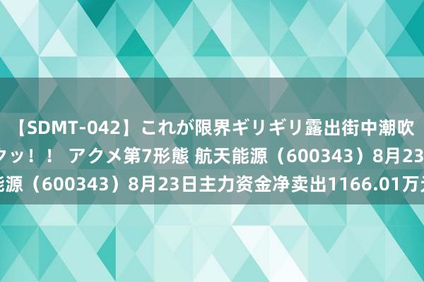 【SDMT-042】これが限界ギリギリ露出街中潮吹き アクメ自転車がイクッ！！ アクメ第7形態 航天能源（600343）8月23日主力资金净卖出1166.01万元